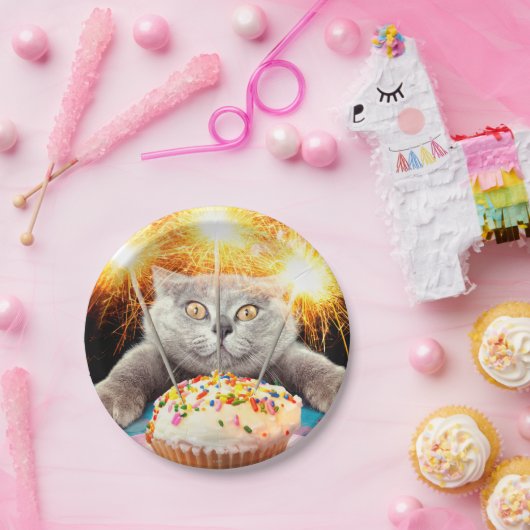Assiettes En Carton Chat Avec Cupcake Sparkler (Fête)