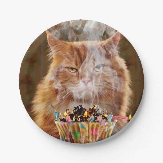 Assiettes En Carton Chat Cranky Drôle Avec Cupcake D'Anniversaire Fond (Devant)