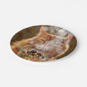 Assiettes En Carton Chat Cranky Drôle Avec Cupcake D'Anniversaire Fond (Angle)