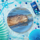 Assiettes En Carton Chat de muscat dans les fermes de Vassar Réserve é (Fête)