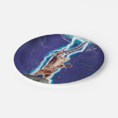 Assiettes En Carton Chat guerrier tonnerre (Angle)