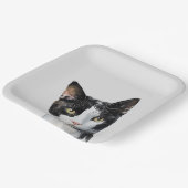 Assiettes En Carton Chat Kitty blanc gris noir (Angulaire)