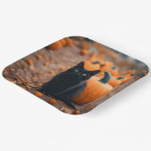 Assiettes En Carton Chat noir dans le patch Citrouille (Angulaire)