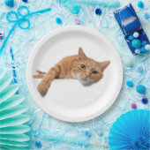 Assiettes En Carton Chat Orange Posé En Bas (Fête)