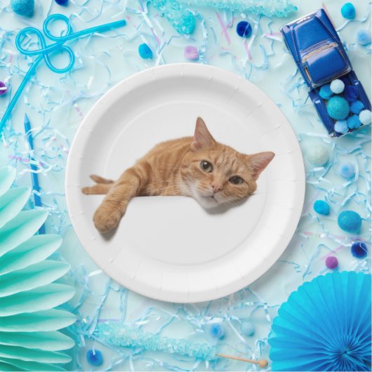 Assiettes En Carton Chat Orange Posé En Bas (Fête)