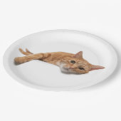 Assiettes En Carton Chat Orange Posé En Bas (Angle)