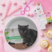 Assiettes En Carton Chatons (Fête)
