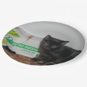 Assiettes En Carton Chatons (Angle)
