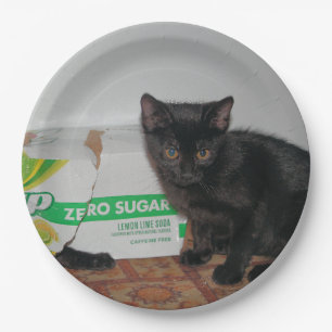 Assiettes En Carton Chatons
