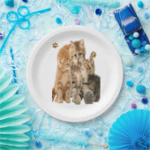 Assiettes En Carton Chats (Fête)