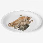 Assiettes En Carton Chats (Angle)