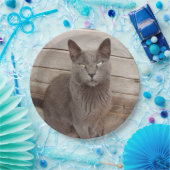 Assiettes En Carton Chats gris (Fête)