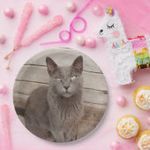 Assiettes En Carton Chats gris (Fête)