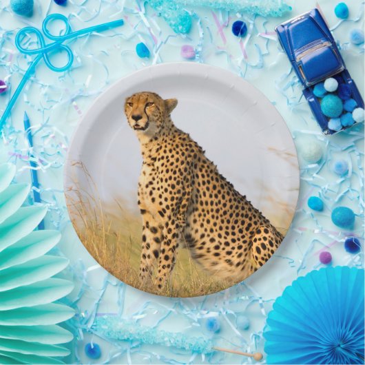 Assiettes En Carton Cheetah (Fête)