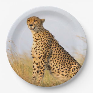 Assiettes En Carton Cheetah