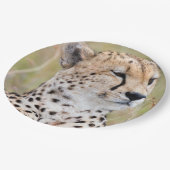 Assiettes En Carton Cheetah (Angle)