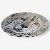 Assiettes En Carton Cheetah Portrait (Angle)