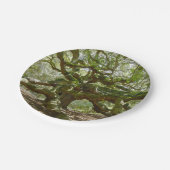 Assiettes En Carton Chêne d'ange puissant (Angle)