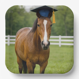 Assiettes En Carton Cheval portant une casquette de remise de diplôme