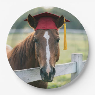 Assiettes En Carton Cheval portant une casquette de remise de diplôme