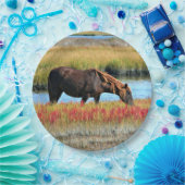 Assiettes En Carton Cheval Sauvage Manger Dans Les Plaques De Papier S (Fête)