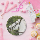 ASSIETTES EN CARTON CHEVAUX (Fête)