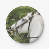 ASSIETTES EN CARTON CHEVAUX (Devant)