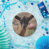 Assiettes En Carton Chèvre (Fête)