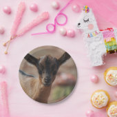 Assiettes En Carton Chèvre (Fête)