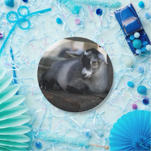 Assiettes En Carton Chèvre (Fête)