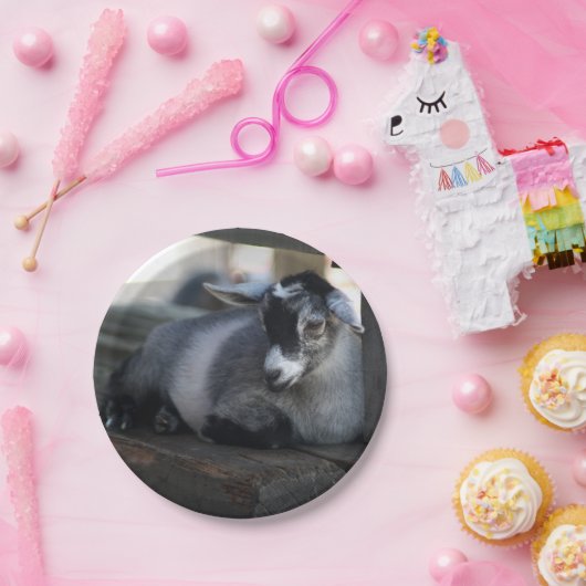 Assiettes En Carton Chèvre (Fête)