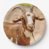 Assiettes En Carton Chèvre Brown et chèvre blanche (Devant)
