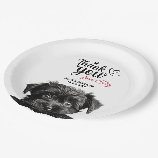 Assiettes En Carton Chien Affenpinscher (Angle)