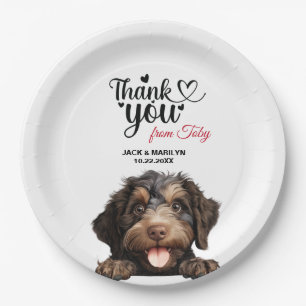 Assiettes En Carton Chien Barbet