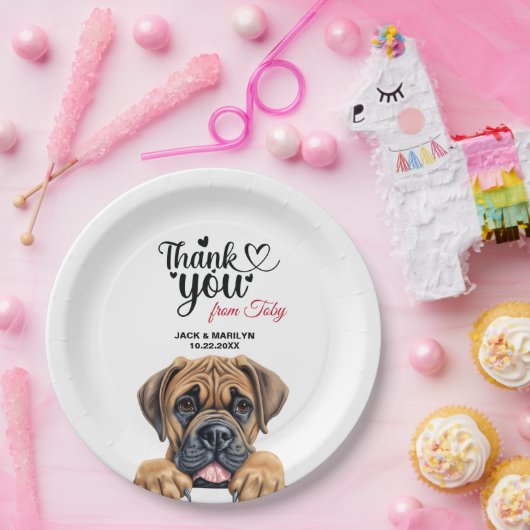 Assiettes En Carton Chien Boerbol (Fête)