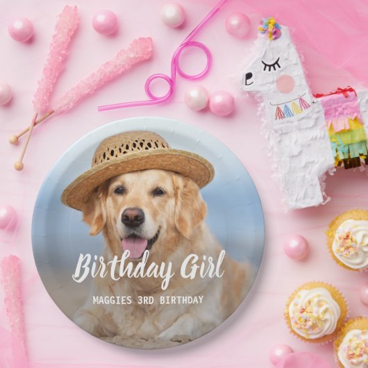 Assiettes En Carton Chien Chien Chien Chien Anniversaire Fête Personna (Fête)