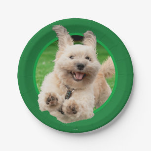 Assiettes En Carton Chien Courant Dans Le Jardin