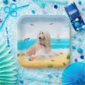 Assiettes En Carton Chien de chien afghan sur la plage (Fête)