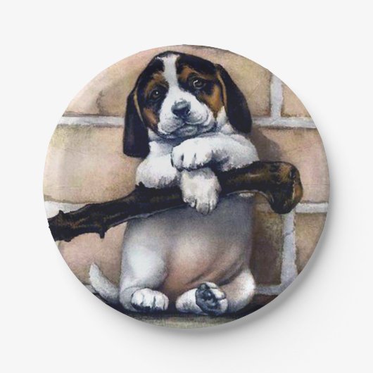 Assiettes En Carton Chien de chiot à vendre jolie lunette d'illustrati (Devant)