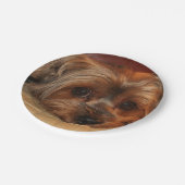 Assiettes En Carton Chien de chiots de Cute Yorkshire (Angle)