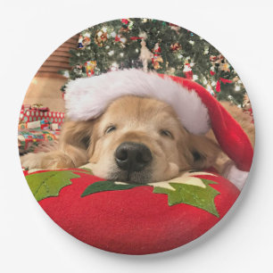 Assiettes En Carton Chien de golden retriever de Noël endormi sous