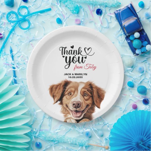 Assiettes En Carton Chien de la Nouvelle-Écosse pour l'extraction du c (Fête)