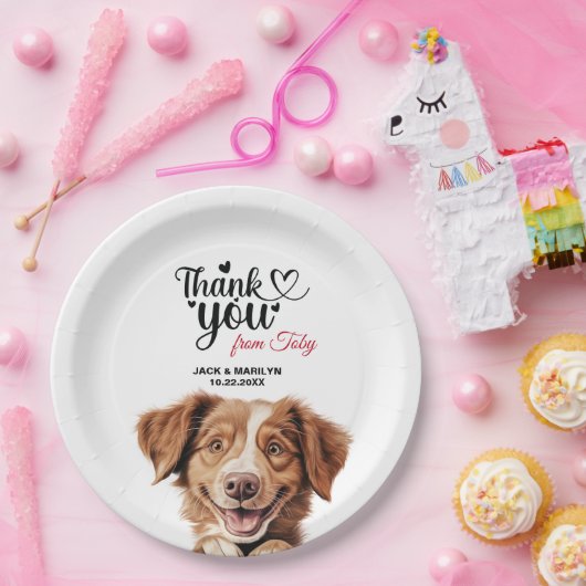 Assiettes En Carton Chien de la Nouvelle-Écosse pour l'extraction du c (Fête)