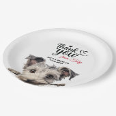 Assiettes En Carton Chien de pomme (Angle)