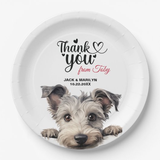 Assiettes En Carton Chien de pomme (Devant)