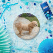 Assiettes En Carton Chien de Red Lhasa Apso (Fête)