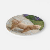 Assiettes En Carton Chien de Red Lhasa Apso (Angle)