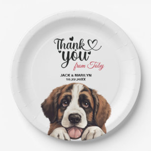 Assiettes En Carton Chien de St. Bernard