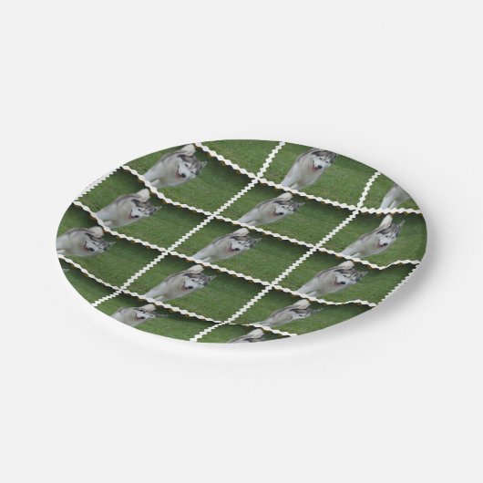 Assiettes En Carton Chien de traîneau sibérien mignon (Angle)