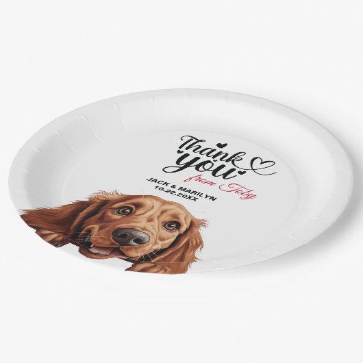 Assiettes En Carton Chien d'Irlande (Angle)